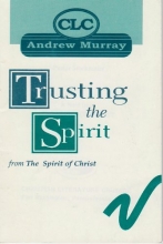 Cover art for TRUSTING THE SPIRIT; an excerpt from THE SPIRIT OF CHRIST