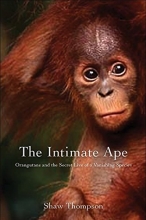 Cover art for The Intimate Ape: Orangutans and the Secret Life of a Vanishing Species