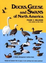 Cover art for Ducks Geese & Swans of North America