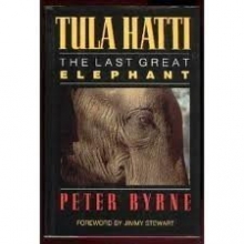 Cover art for Tula Hatti: The Last Great Elephant