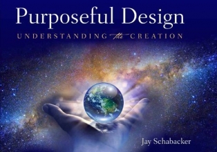 Cover art for Purposeful Design: Understanding the Creation