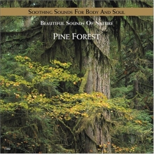 Cover art for Pine Forest