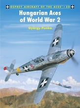 Cover art for Hungarian Aces of World War 2