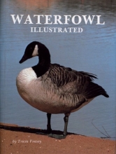 Cover art for Waterfowl Illustrated