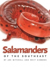 Cover art for Salamanders of the Southeast (Wormsloe Foundation Nature Book Ser.)