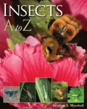 Cover art for Insects A to Z (A to Z (Firefly Books))