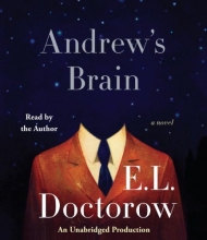 Cover art for Andrew's Brain: A Novel