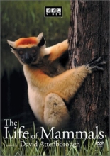 Cover art for The Life of Mammals, Vol. 3