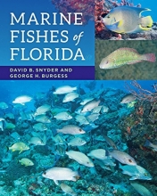 Cover art for Marine Fishes of Florida