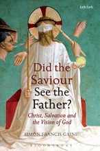 Cover art for Did the Saviour See the Father?: Christ, Salvation, and the Vision of God