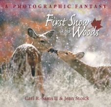 Cover art for First Snow in the Woods: A Photographic Fantasy