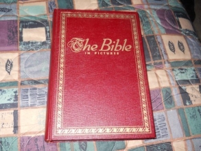Cover art for The Bible In Pictures Edited By Rev. Ralph Kirby