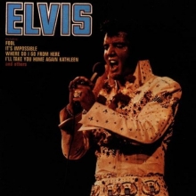 Cover art for Elvis (The Fool Album)