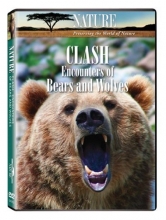 Cover art for Nature: Clash: Encounters of Bears & Wolves