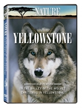 Cover art for Nature: Yellowstone 