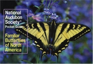 Cover art for National Audubon Society Pocket Guide: Familiar Butterflies of North America