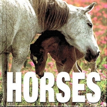 Cover art for Horses by Gabriele Boiselle (2005) Hardcover