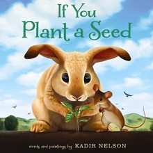 Cover art for If You Plant a Seed