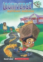 Cover art for Meltdown Madness: A Branches Book (Looniverse #2)