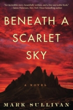 Cover art for Beneath a Scarlet Sky: A Novel