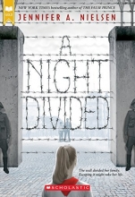 Cover art for A Night Divided