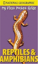 Cover art for My First Pocket Guide Reptiles and Amphibians (National Geographic My First Pocket Guides)