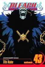 Cover art for Bleach, Vol. 43