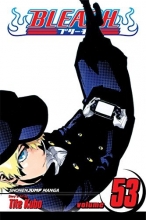 Cover art for Bleach, Vol. 53