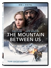 Cover art for Mountain Between Us, The