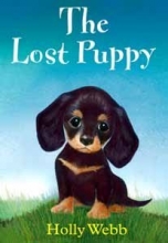 Cover art for The Lost Puppy
