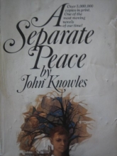 Cover art for Seperate Peace