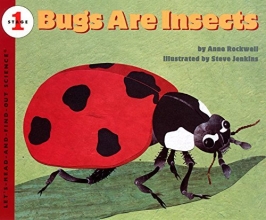 Cover art for Bugs Are Insects (Let's-Read-and-Find-Out Science 1)