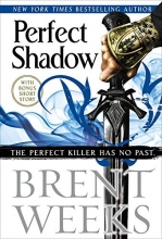Cover art for Perfect Shadow (Night Angel)