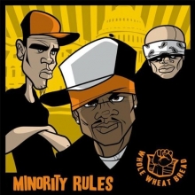 Cover art for Minority Rules