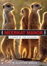 Cover art for Meerkat Manor: Flower of the Kalahari