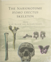 Cover art for Nariokotome Homo Erectus Skeleton