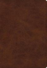 Cover art for ESV Giant Print Bible (TruTone, Deep Brown)