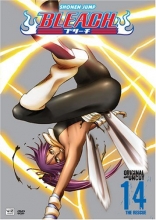 Cover art for Bleach Vol. 14: The Rescue 