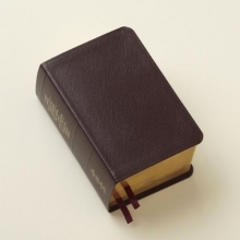 Cover art for LDS Scriptures - Holy Bible, Book of Mormon, Doctrine and Covenants, Pearl of Great Price (Compact Quad) Burgundy Genuine Leather