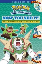 Cover art for Now You See It! Kalos Edition (Pokemon)