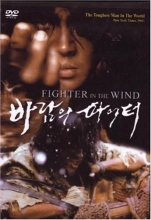 Cover art for Fighter In The Wind