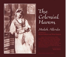 Cover art for The Colonial Harem (Theory and History of Literature)