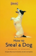 Cover art for How to Steal a Dog: A Novel