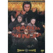 Cover art for Master Killer Collection: Shaolin Challenges