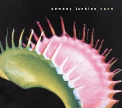 Cover art for Open