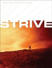 Cover art for Strive: The Bible for Men (TNIV) (Today's New International Version)