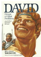 Cover art for David Drops a Giant Problem: And Other Fearless Heroes (Baker Interactive Books for Lively Education)