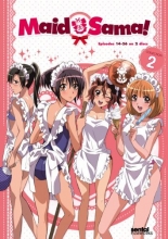 Cover art for Maid Sama! Collection 2