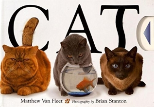 Cover art for Cat