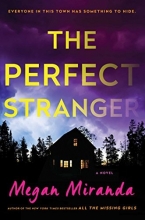Cover art for The Perfect Stranger: A Novel